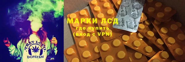 ГАЛЛЮЦИНОГЕННЫЕ ГРИБЫ Наволоки