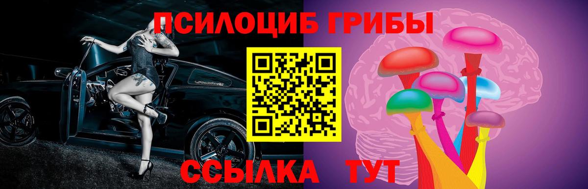 Псилоцибиновые грибы Cubensis  Вход с VPN  купить наркоту  Псилоцибиновые грибы мицелий  Тулун 